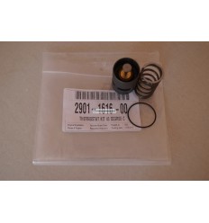 2901161600 - THERM.VALVE 40°C KIT